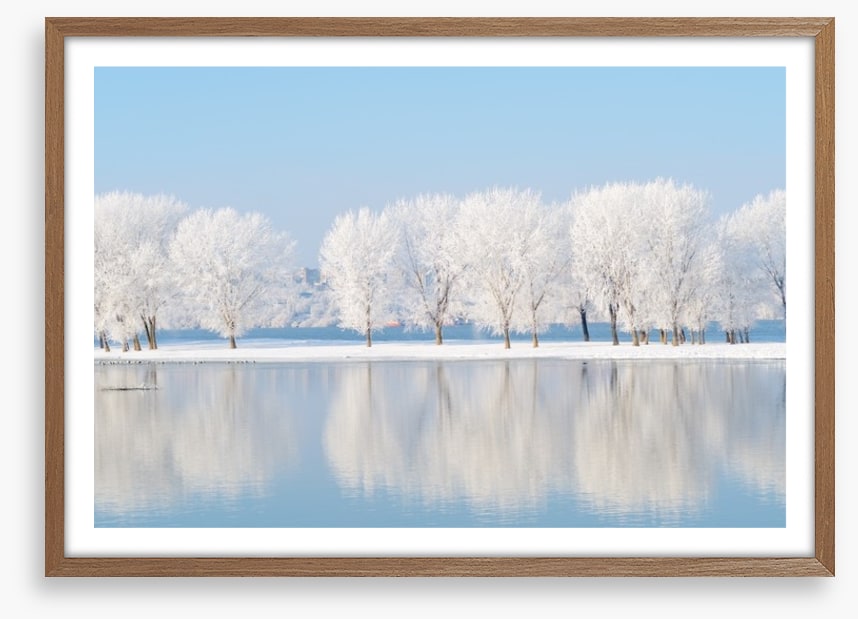 Winter reflections