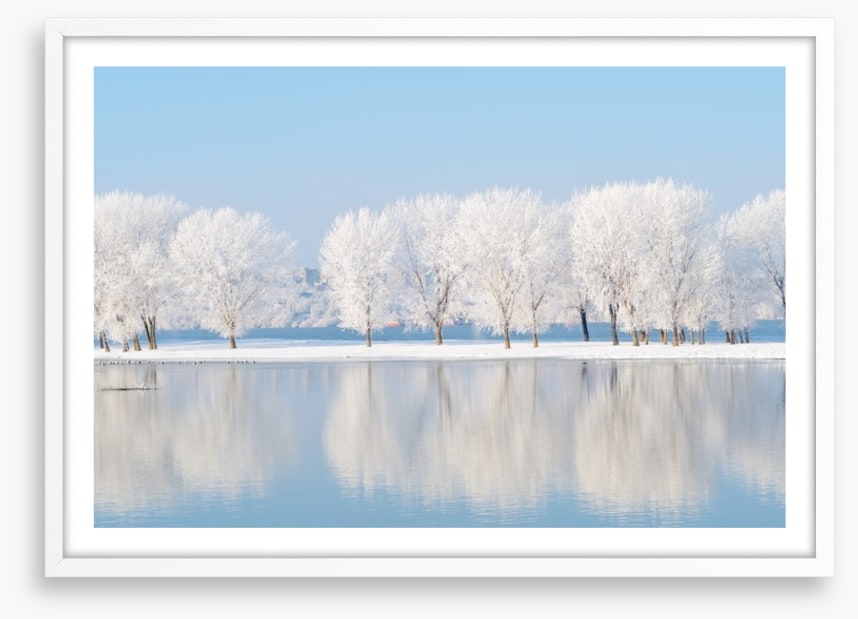 Winter reflections