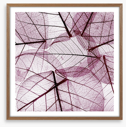 Fallen leaves
