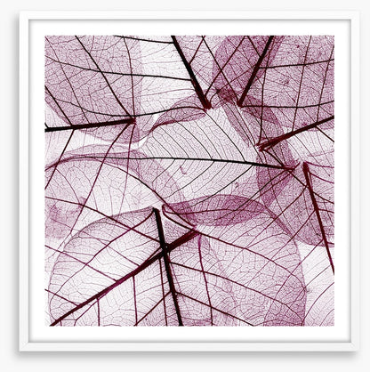 Fallen leaves