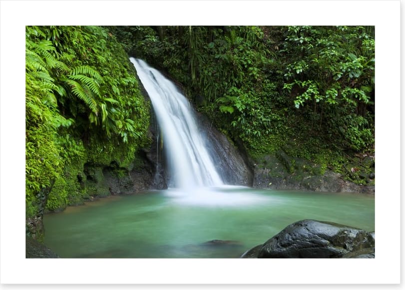 Rainforest cascades