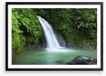 Rainforest cascades