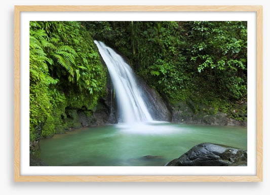 Rainforest cascades