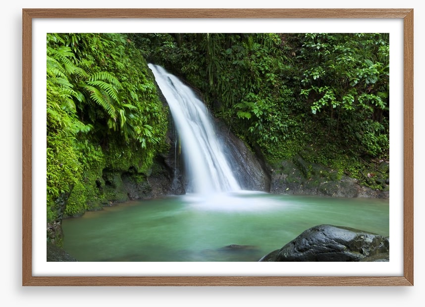 Rainforest cascades