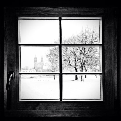 Through the window