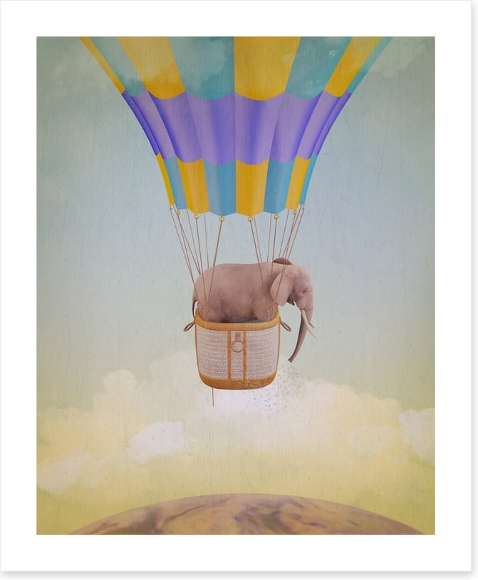Elephant adrift