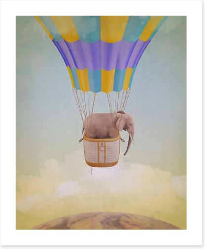 Elephant adrift