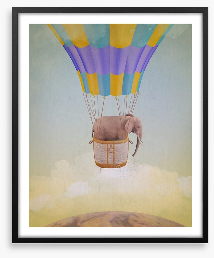 Elephant adrift