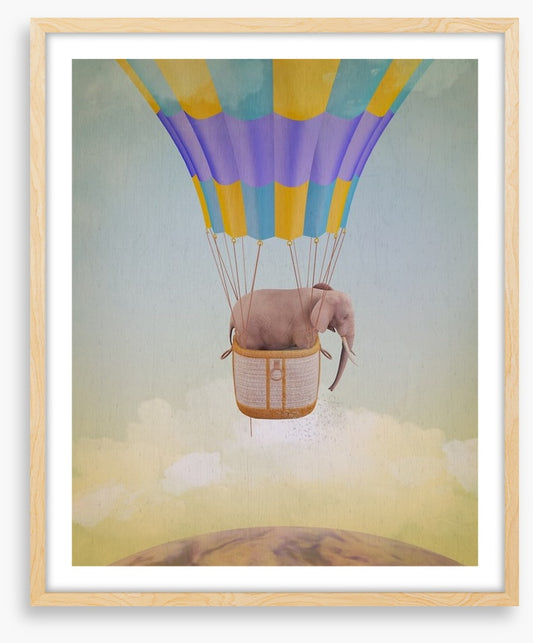 Elephant adrift