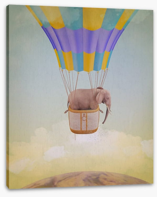 Elephant adrift