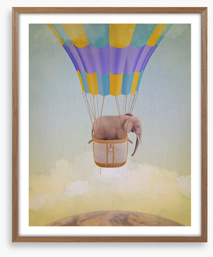Elephant adrift