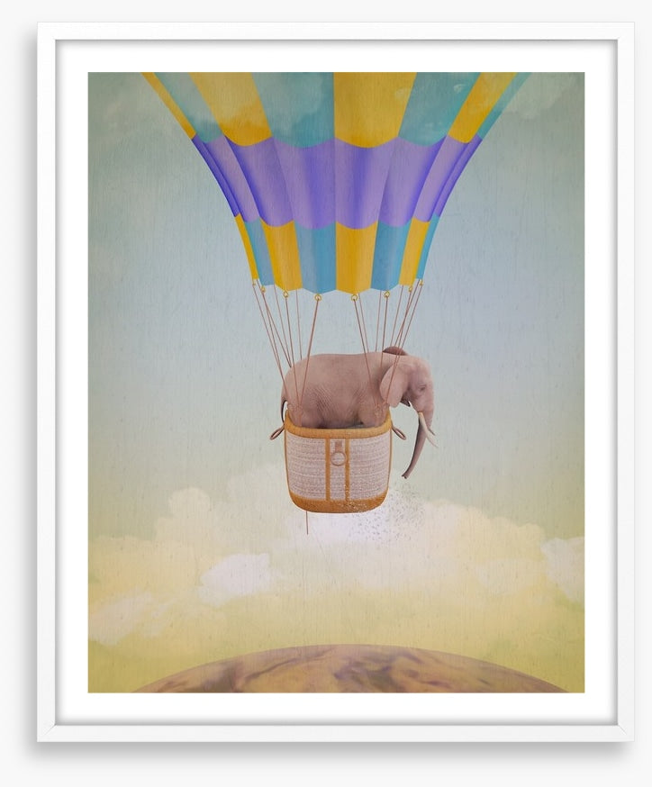 Elephant adrift