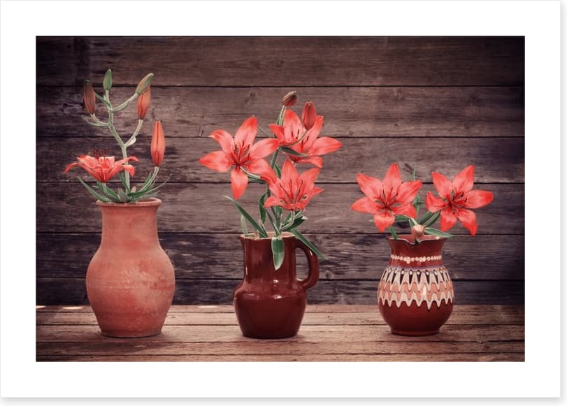Terracotta lillies