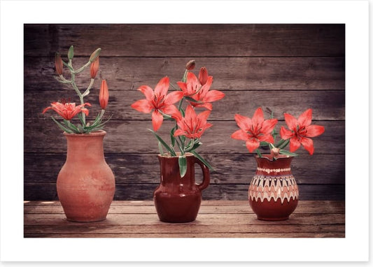 Terracotta lillies