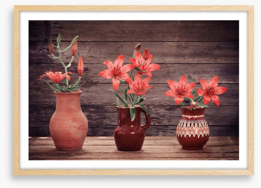 Terracotta lillies