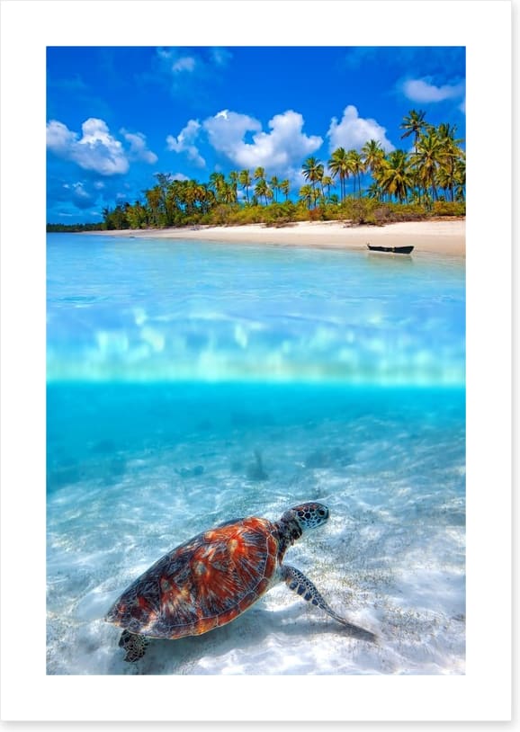 Above and below