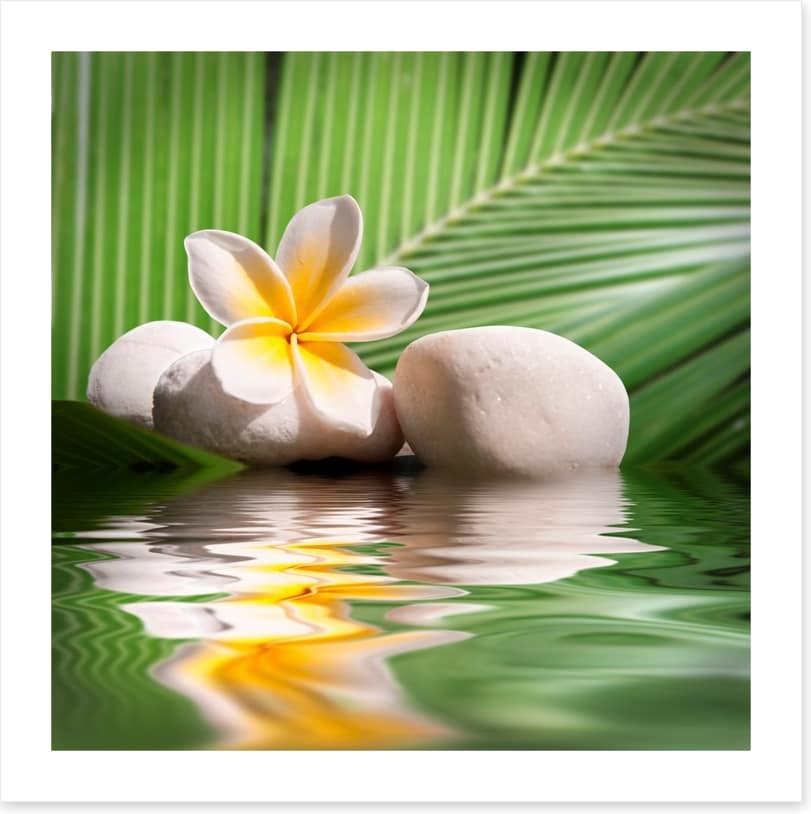 Frangipani and palm leaves
