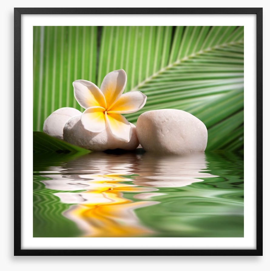 Frangipani and palm leaves