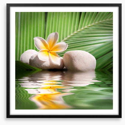 Frangipani and palm leaves