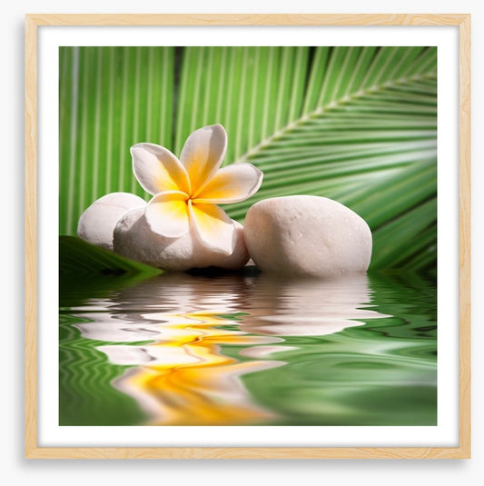 Frangipani and palm leaves