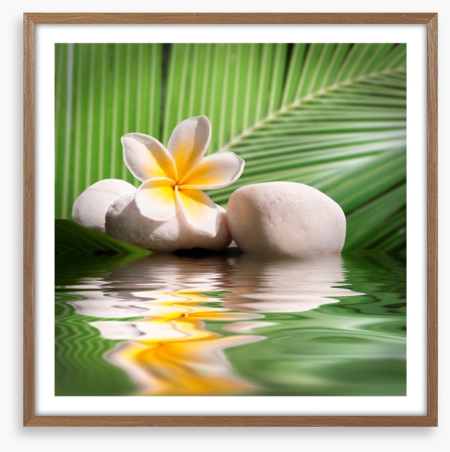 Frangipani and palm leaves