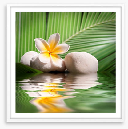 Frangipani and palm leaves