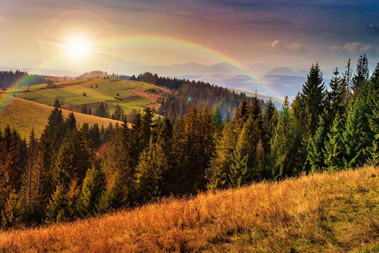 Rainbows