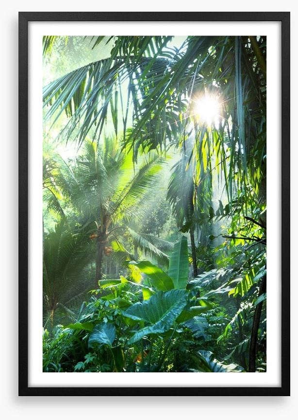 Deep in the jungle