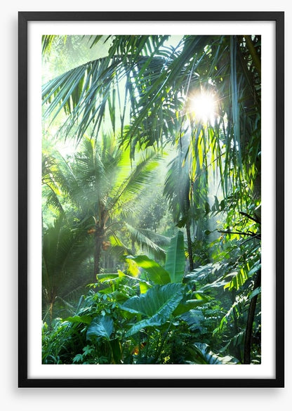 Deep in the jungle
