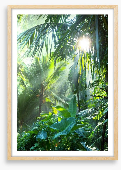 Deep in the jungle
