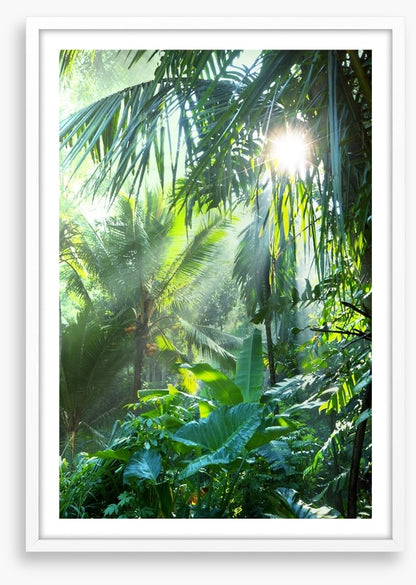 Deep in the jungle
