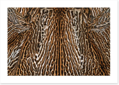 Animal Print