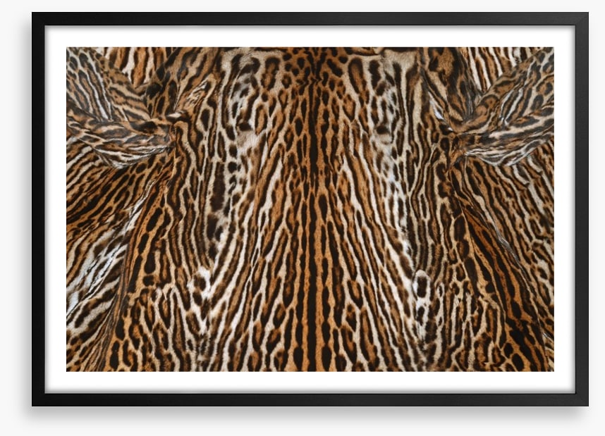 Animal Print