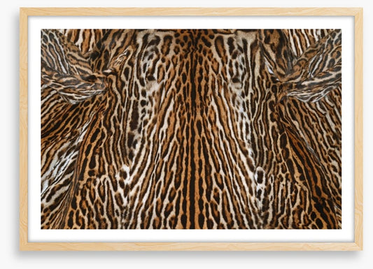 Animal Print
