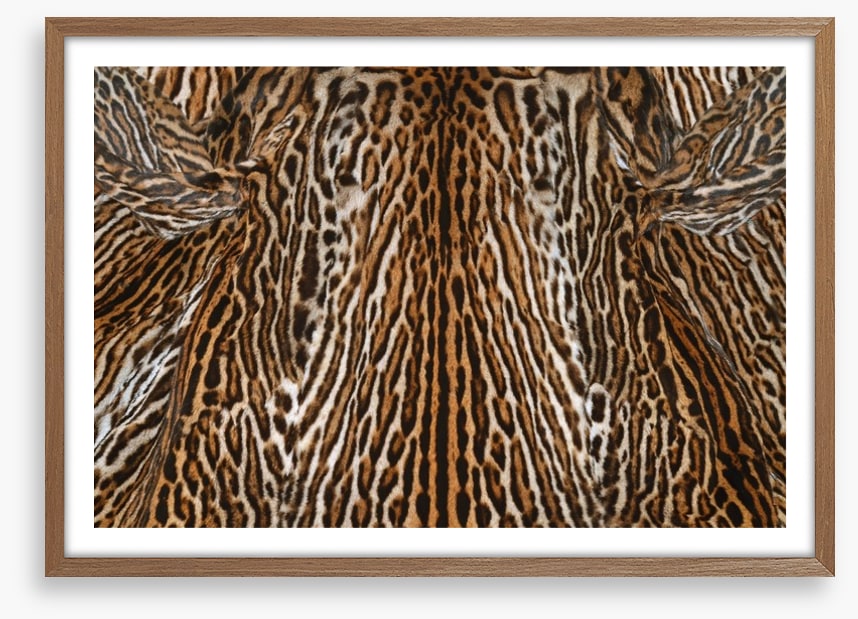 Animal Print