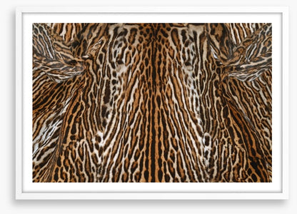 Animal Print