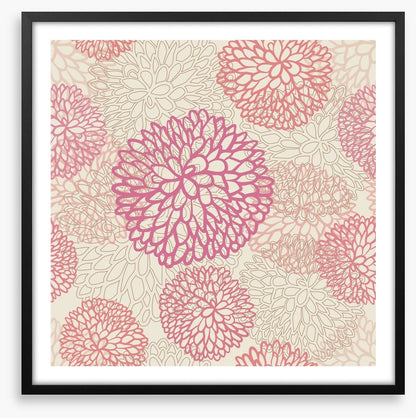 Pink deco dahlia