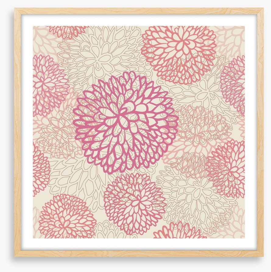 Pink deco dahlia