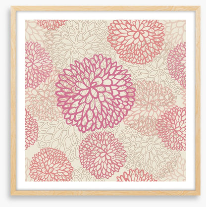 Pink deco dahlia