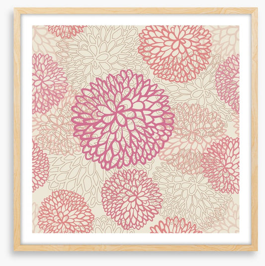 Pink deco dahlia
