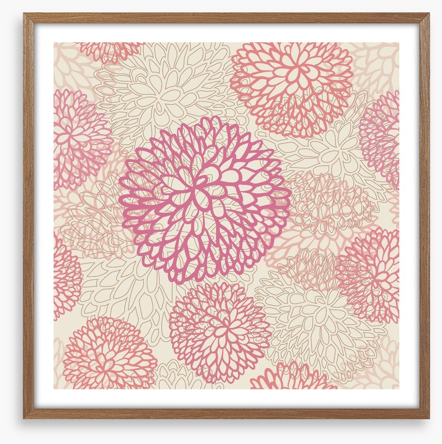 Pink deco dahlia