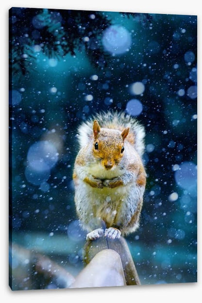 Red squirrel in the snow