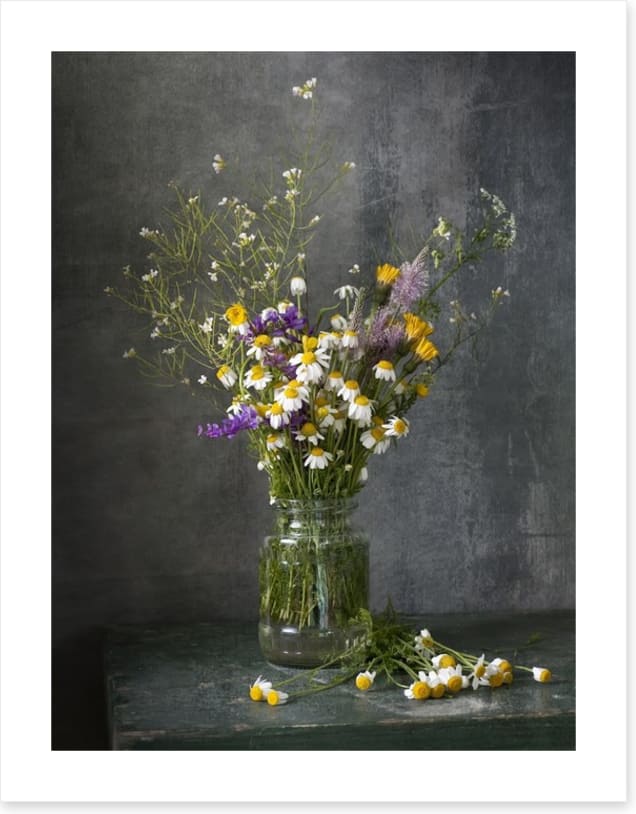Delicate daisies
