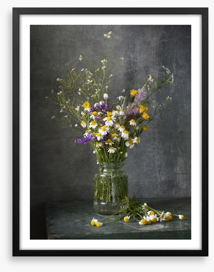 Delicate daisies