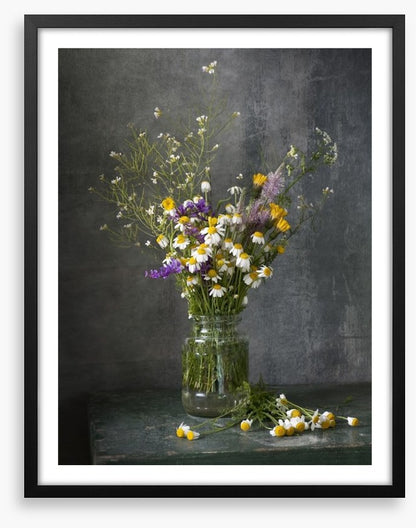 Delicate daisies