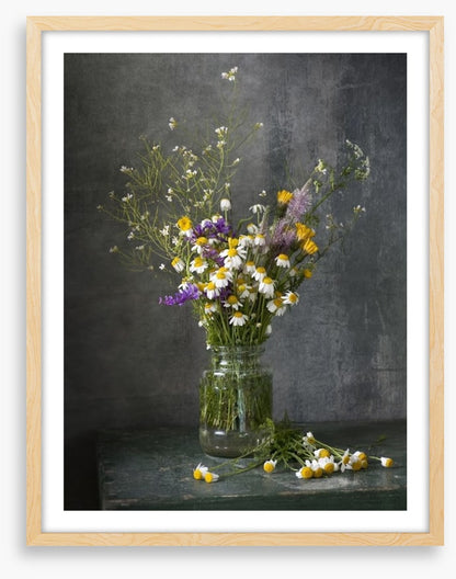 Delicate daisies
