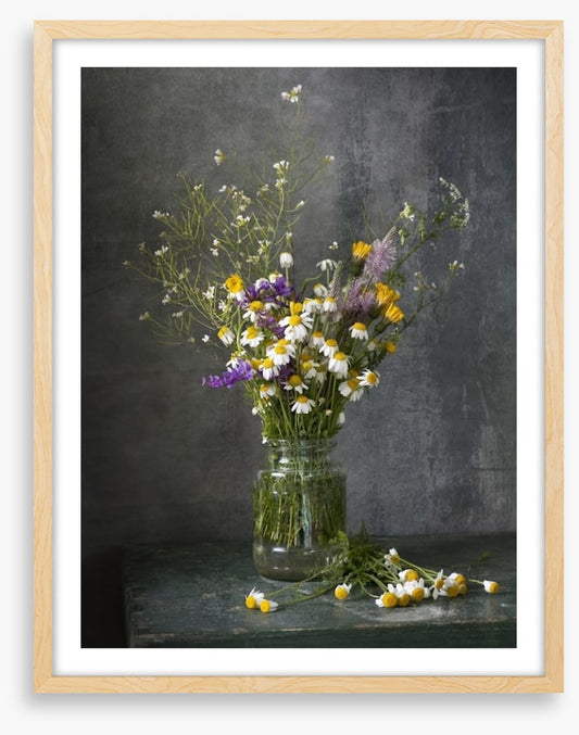 Delicate daisies