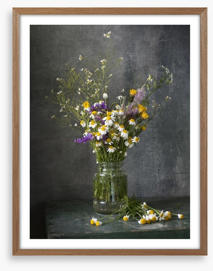 Delicate daisies