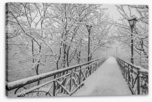Blizzard on the bridge