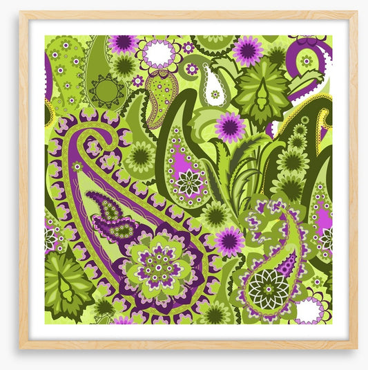 Paisley